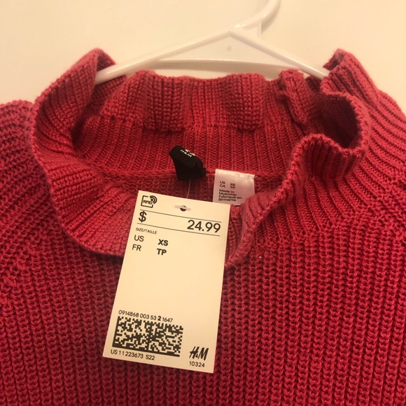 Pink Ruffle H&M Crop Sweater - Picture 2 of 2